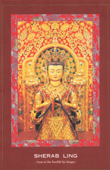 (image for) Biography of Tai Situ Rinpoche (PDF)